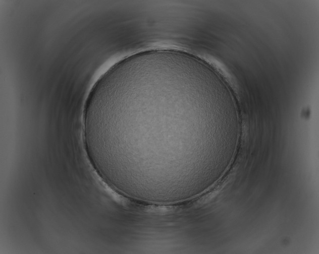 X0000091211286200708231558