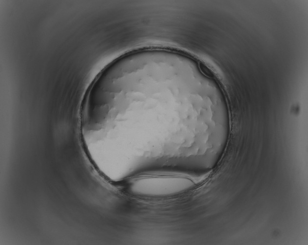 X0000091211287200708231558