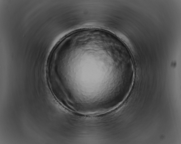X0000091211288200708231558