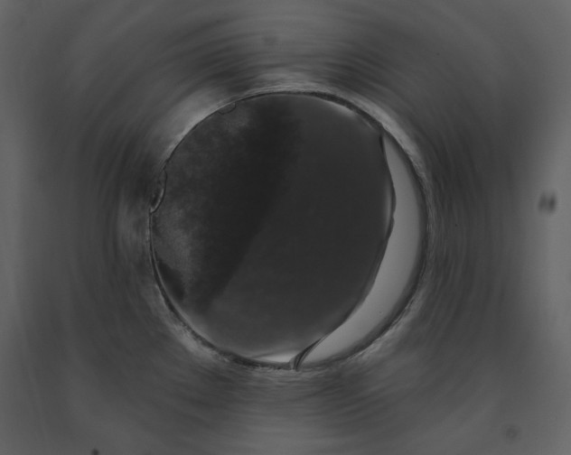 X0000091211289200708231558