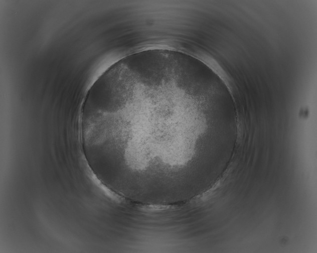 X0000091211290200708231558