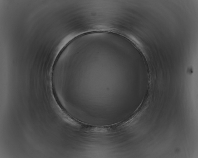 X0000091211291200708231558