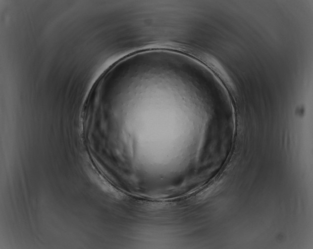 X0000091211292200708231558