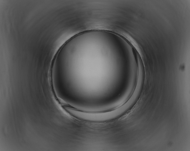X0000091211293200708231558
