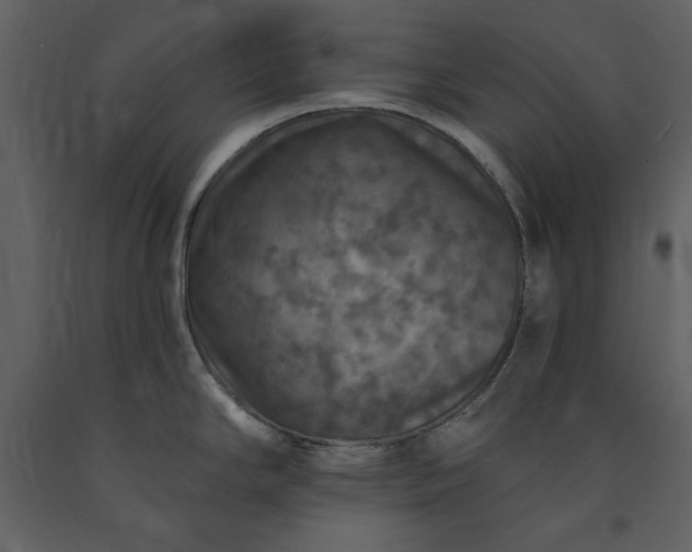 X0000091211294200708231558