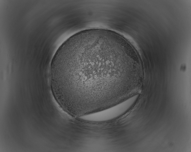 X0000091211295200708231558