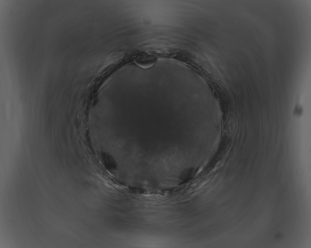 X0000091211297200708231557