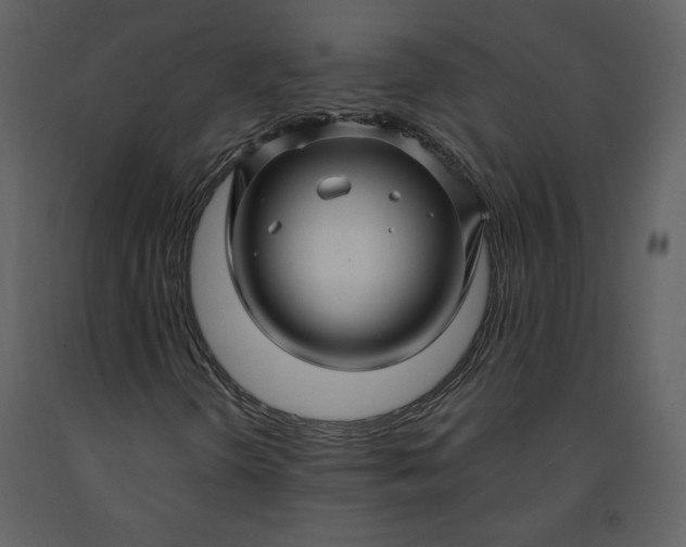 X0000091211298200708231557