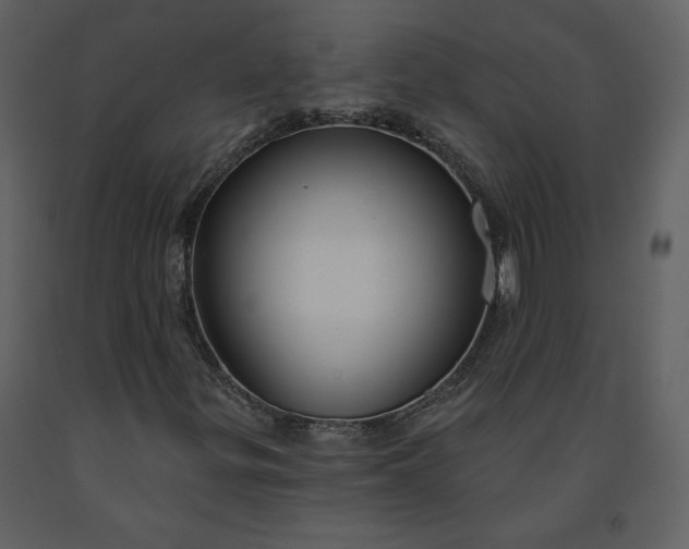 X0000091211299200708231557