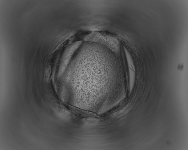 X0000091211300200708231557