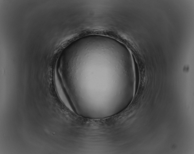 X0000091211301200708231557