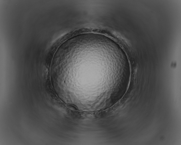 X0000091211302200708231557