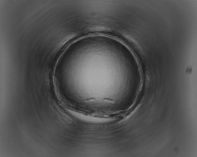 X0000091211305200708231557