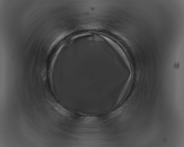 X0000091211306200708231557