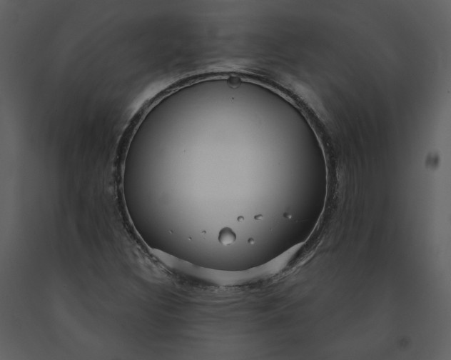 X0000091211308200708231557