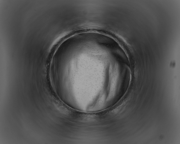 X0000091211309200708231557