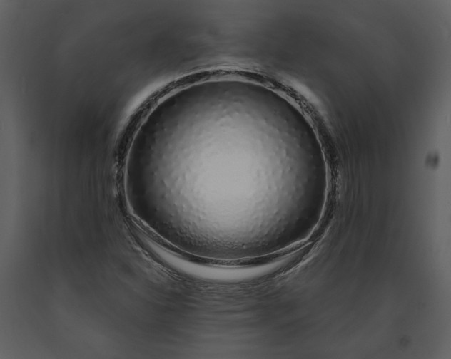 X0000091211310200708231557