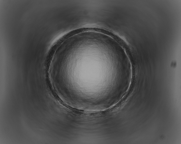 X0000091211311200708231557