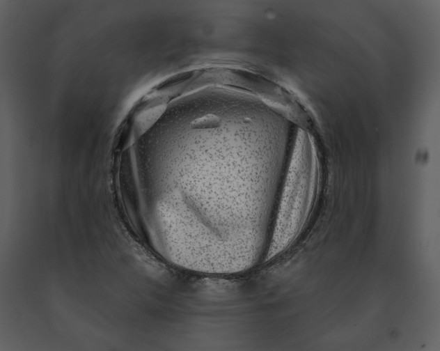 X0000091211312200708231557