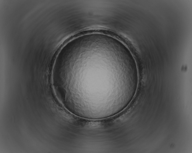 X0000091211313200708231557