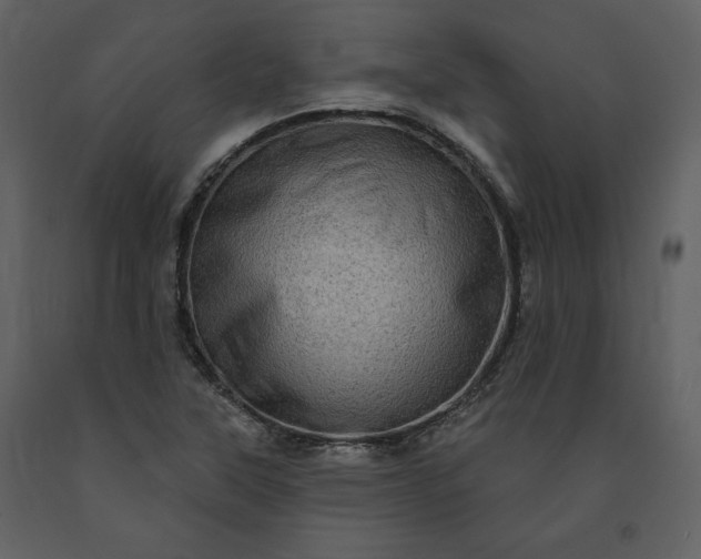 X0000091211315200708231558