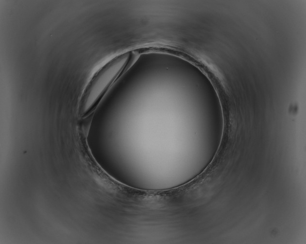 X0000091211316200708231558