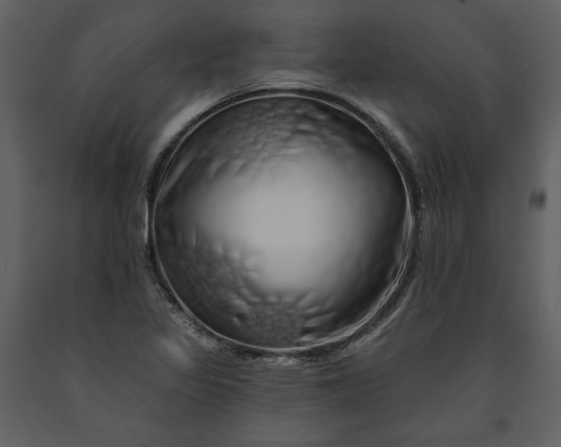 X0000091211317200708231558