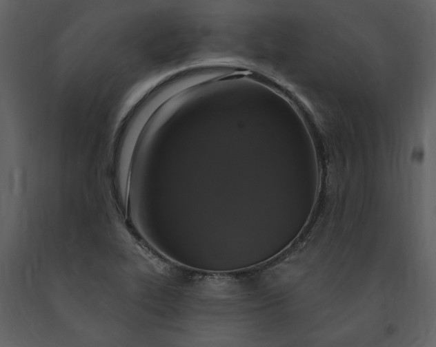 X0000091211319200708231558