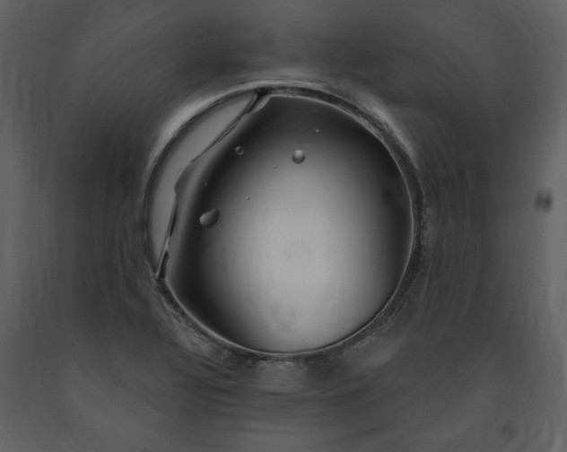 X0000091211320200708231558