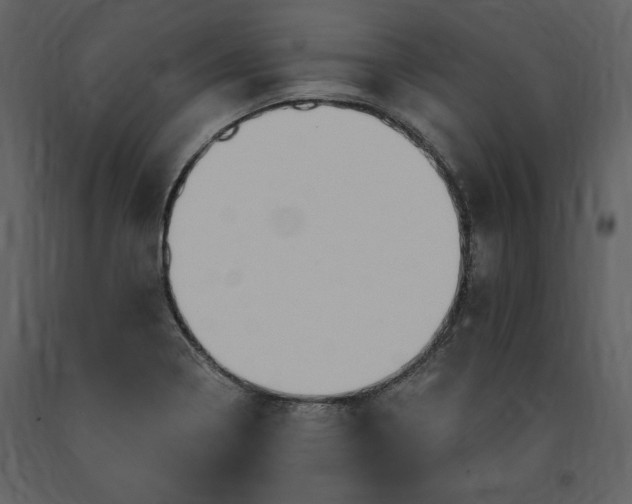 X0000091211322200708231558
