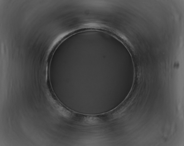 X0000091211323200708231558