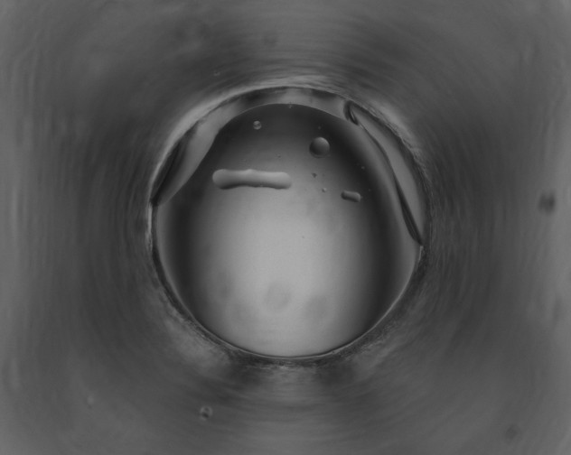 X0000091211324200708231558
