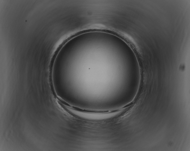 X0000091211326200708231558