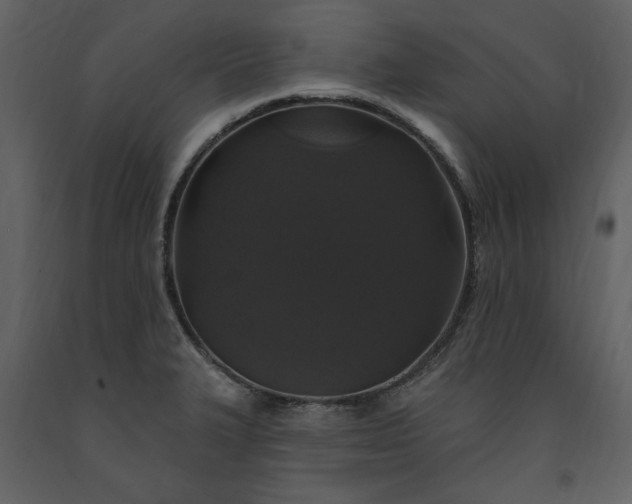 X0000091211327200708231558