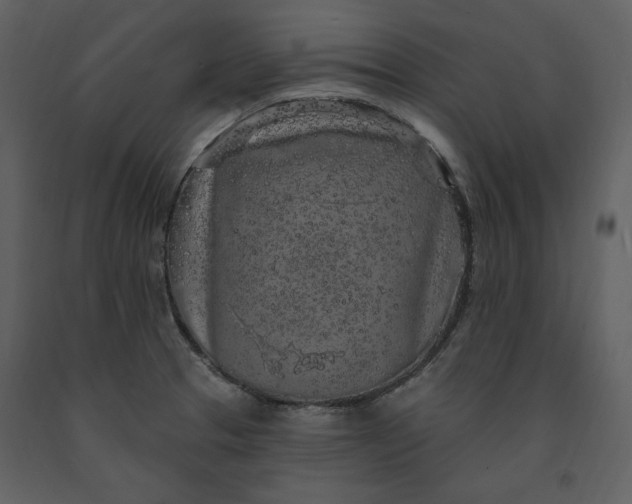 X0000091211329200708231558