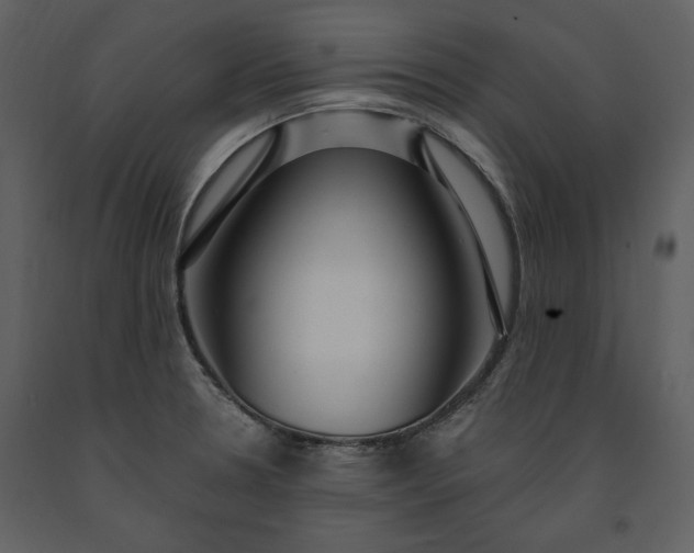 X0000091211330200708231558