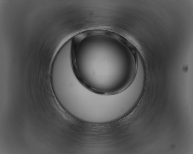X0000091211332200708231558