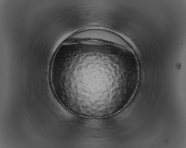 X0000091211333200708231558