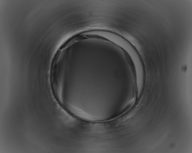 X0000091211334200708231558