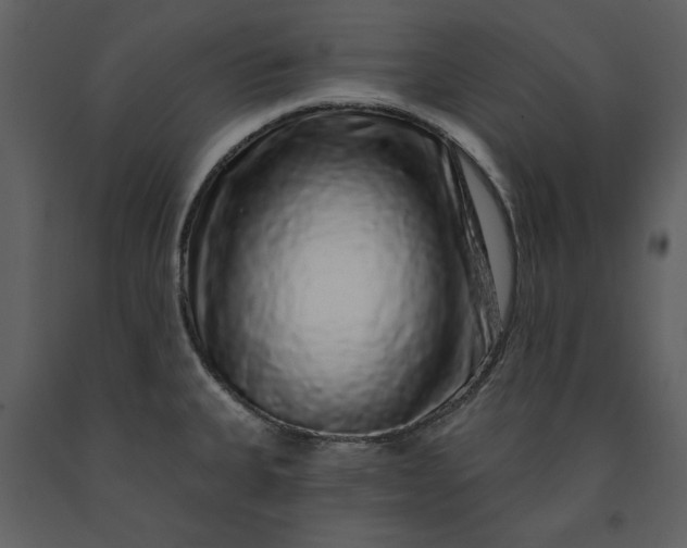 X0000091211335200708231558