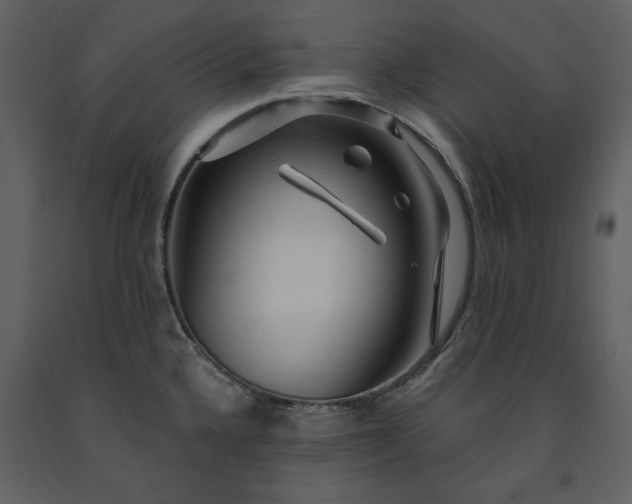 X0000091211336200708231558