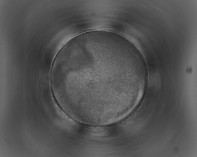 X0000091211338200708231558
