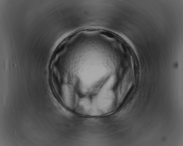 X0000091211341200708231558
