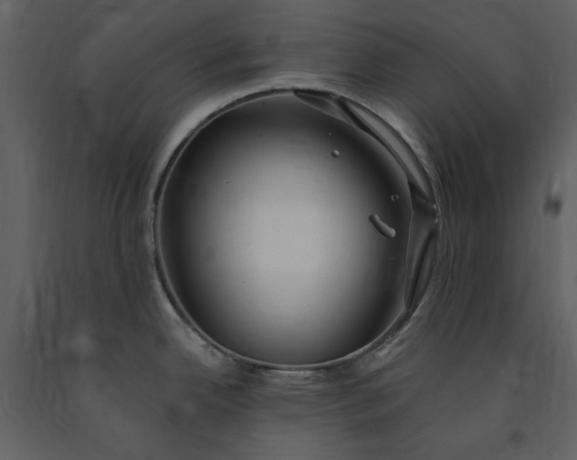 X0000091211342200708231558