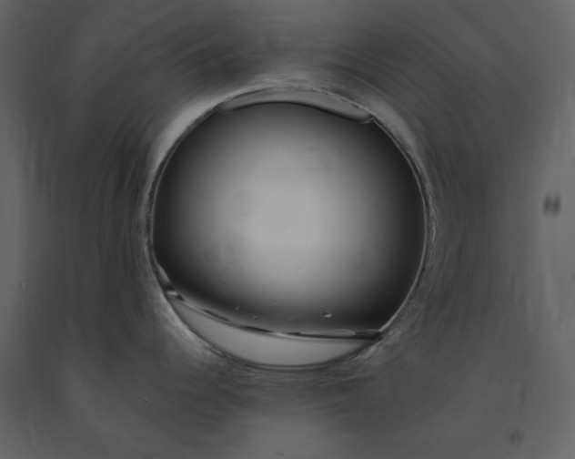 X0000091211344200708231558