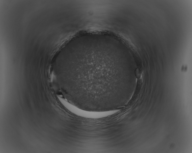 X0000091211348200708231557