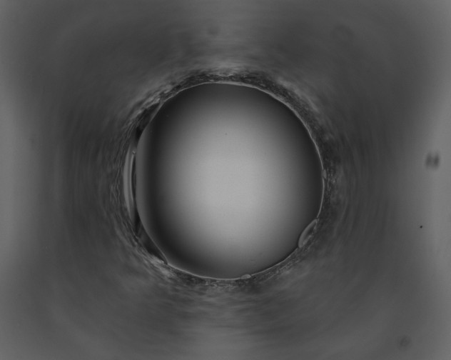 X0000091211349200708231557