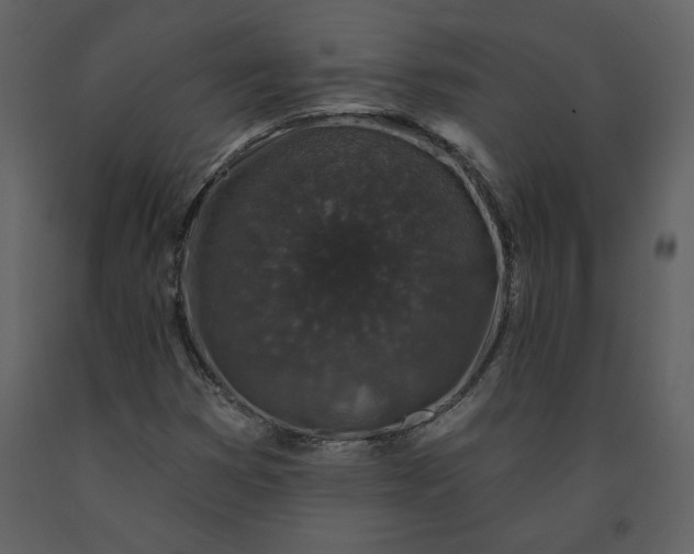 X0000091211353200708231557