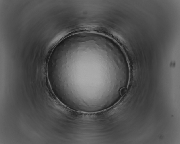 X0000091211354200708231557
