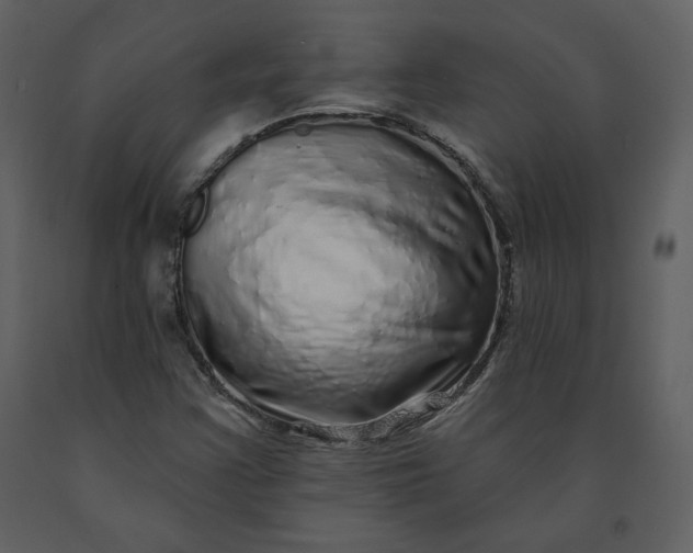X0000091211355200708231557